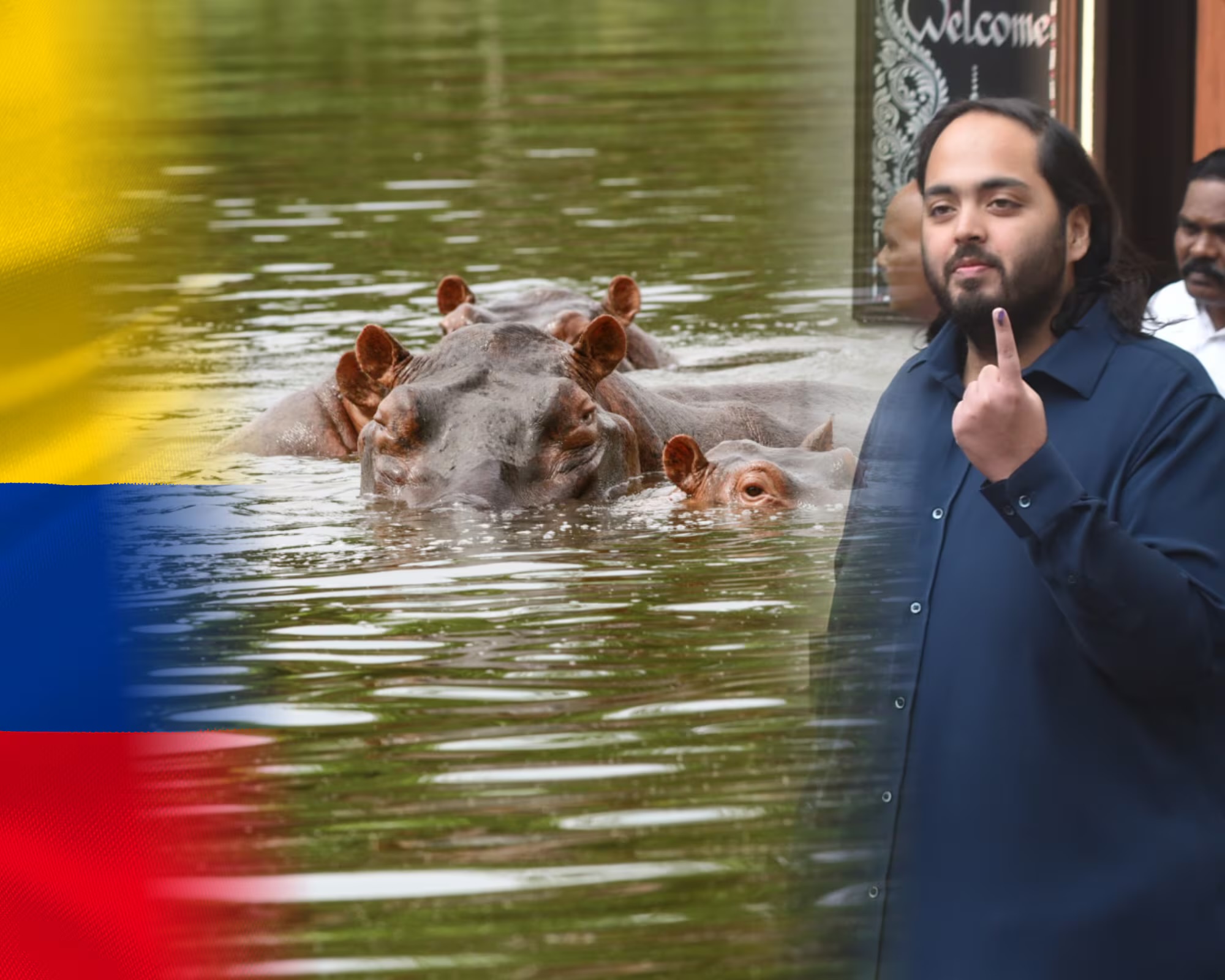 Colombia recibirá visita de expertos de India para evaluar traslado de hipopótamos