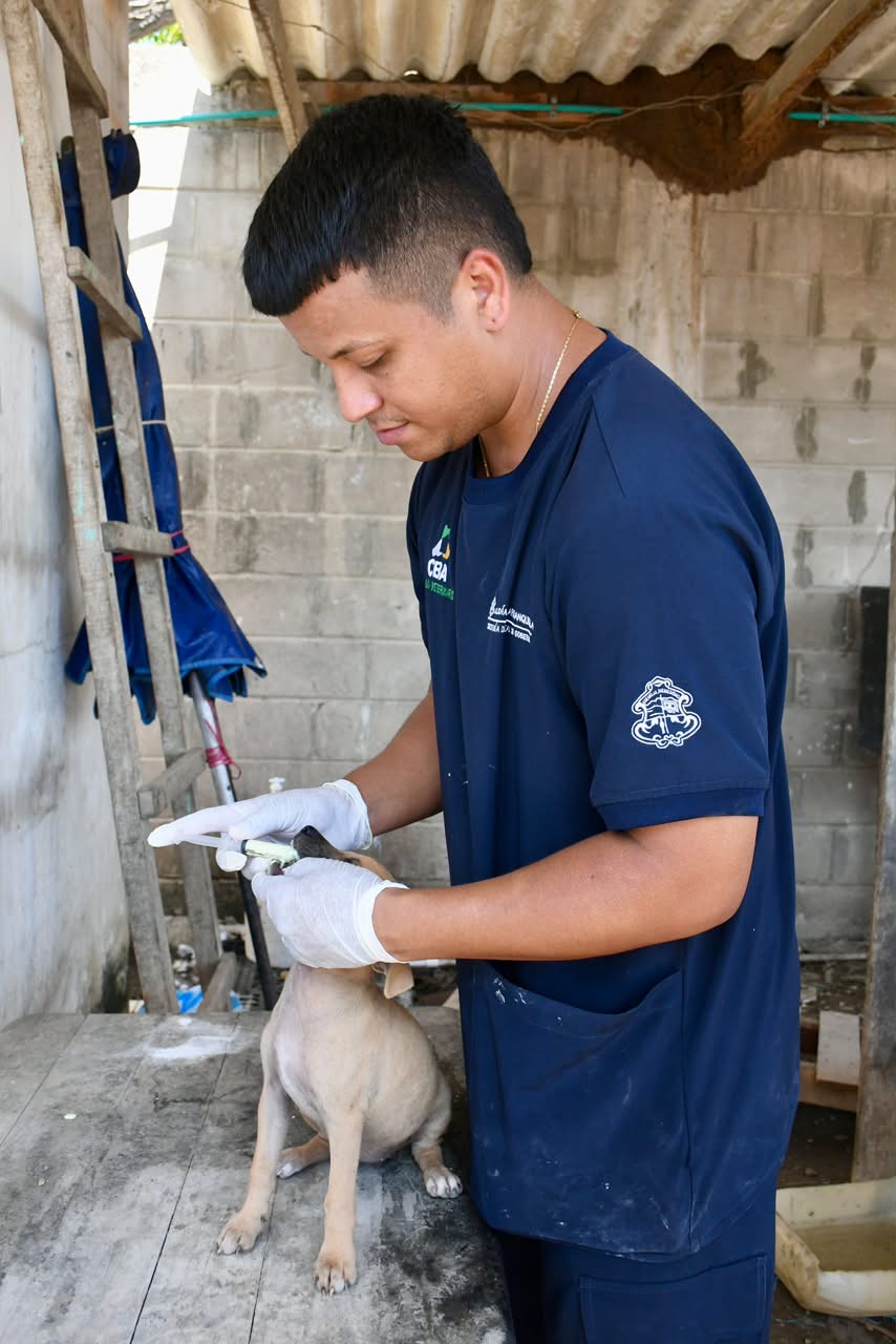 Barranquilla fortalece estrategias de bienestar animal con atención veterinaria y jornadas de adopción