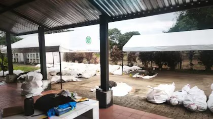 Medicina Legal confirma que 11 menores murieron en enfrentamientos entre disidencias en Guaviare