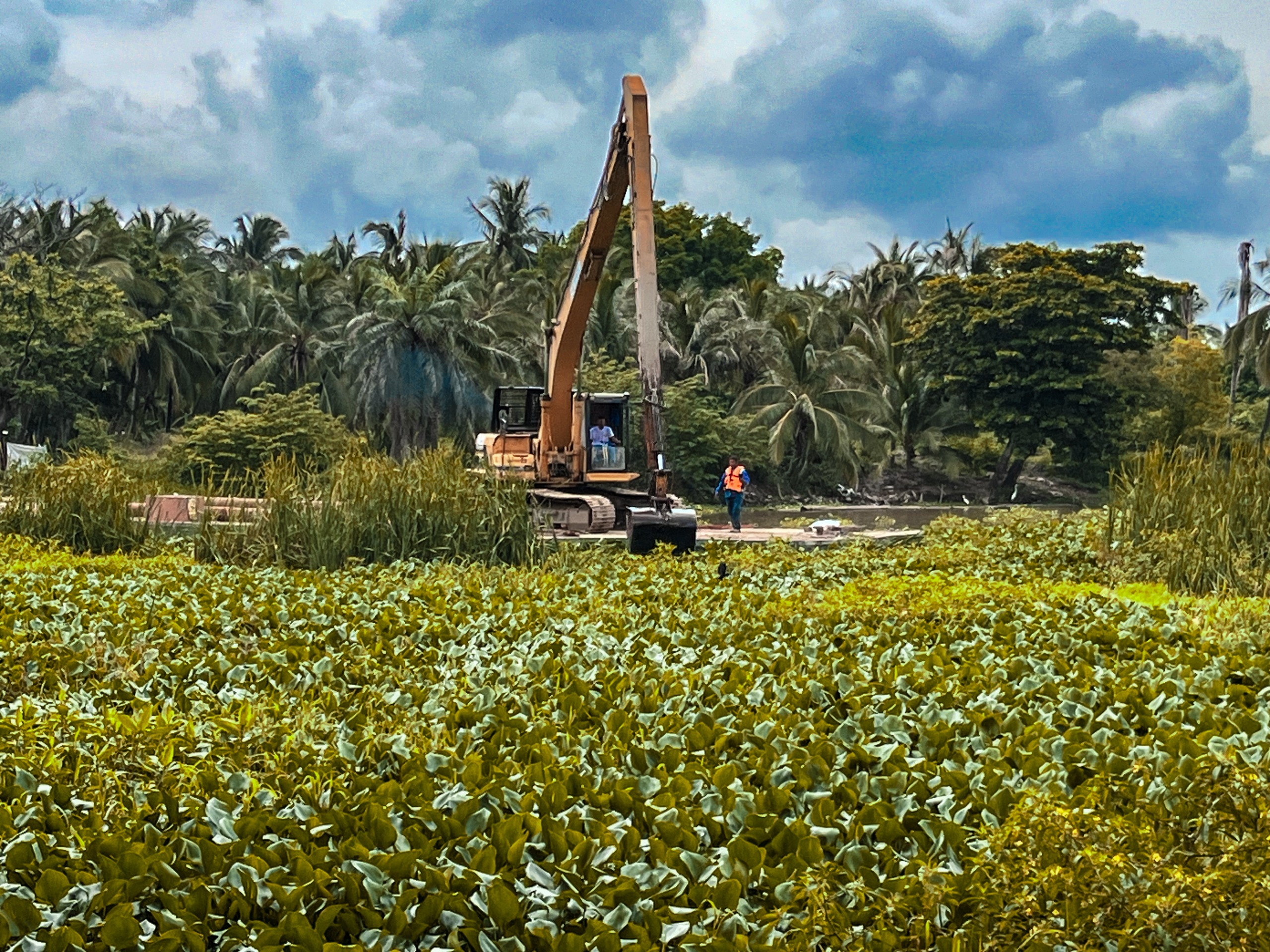 Barranquilla es reconocida por la ONU como referente mundial en restauración ambiental