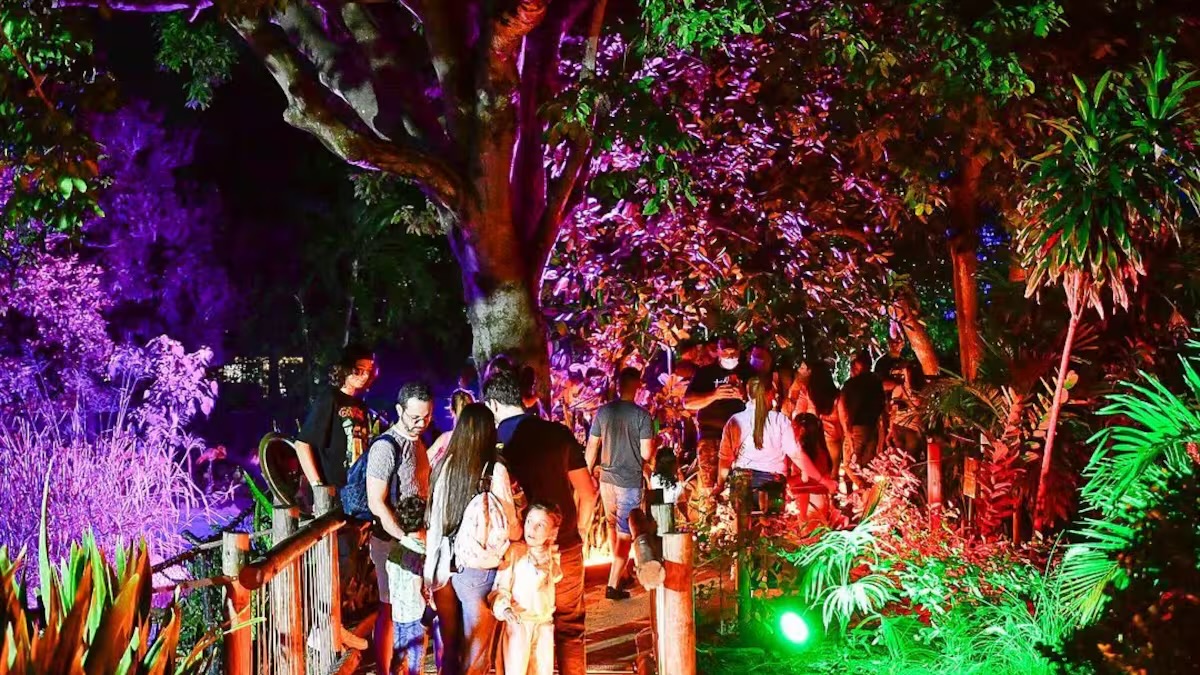 Safari Nocturno regresa al Zoológico de Barranquilla con una experiencia inspirada en las estrellas