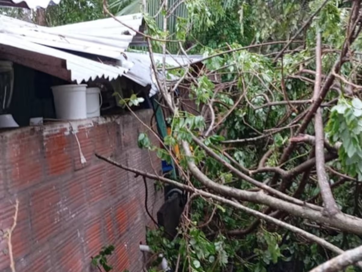 Vendaval deja unas 30 viviendas afectadas en Aguada de Pablo