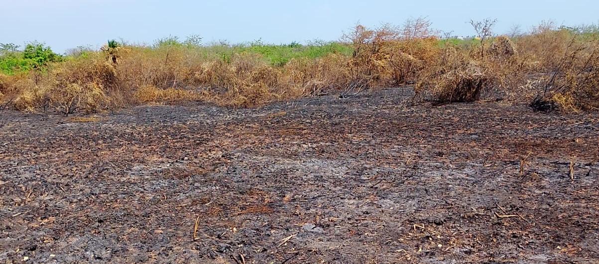 Barranquilla se prepara ante posible impacto fuerte de ‘El Niño’ que podría extenderse hasta 2027