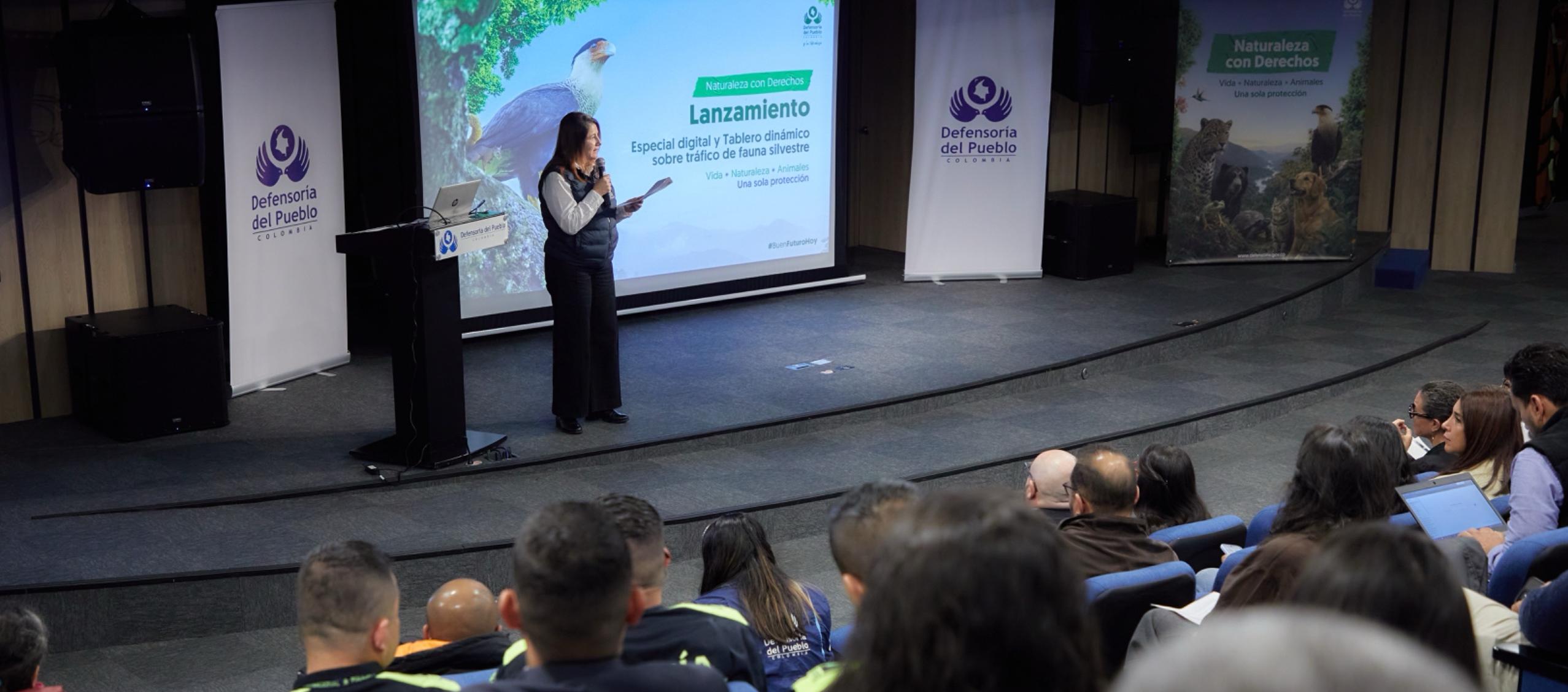 Más de 164 mil animales fueron víctimas del tráfico de fauna silvestre en Colombia entre 2021 y 2024
