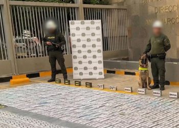 Incautan más de 880 kilos de cocaína ocultos en un bloque de piedra en Cartagena