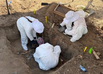 UBPD recupera 10 cuerpos en el Cementerio Católico Calancala de Barranquilla