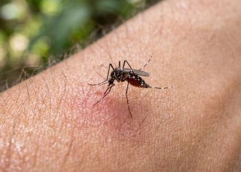 Muerte de adolescente de 15 años por dengue enciende alertas en Palmar de Varela