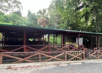 Parque Tayrona inició su tercer cierre temporal del año: estará cerrado al público hasta el 2 de noviembre